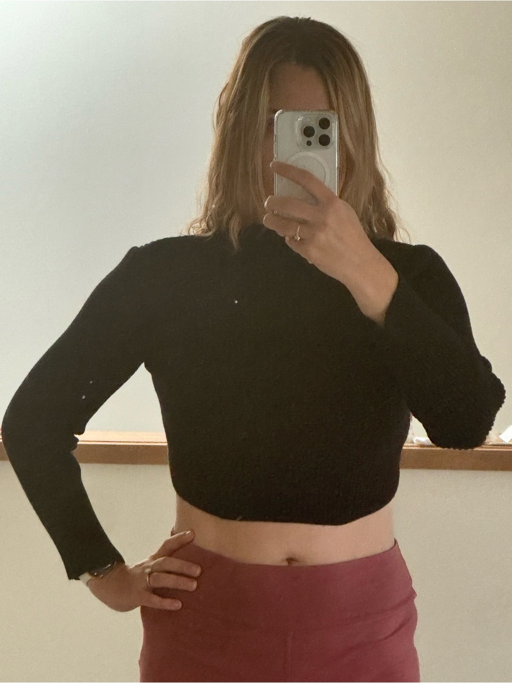 Like New Black Mable Ribbed Crop Top Long Sleeve